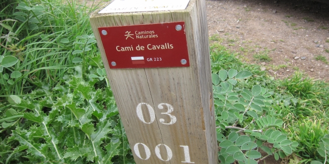 Cami de Cavalls 049