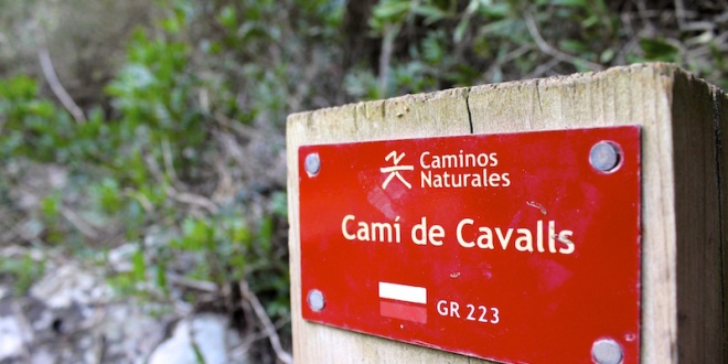 Camí de Cavalls