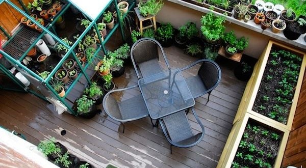 jardin-urbain-balcon